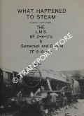 Book cover of What Happened to Steam by HANDS, Peter